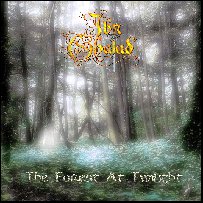 Demo-CD: The Forest at Twilight